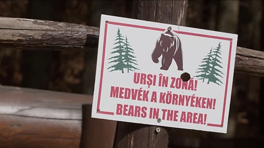 Szomszédok