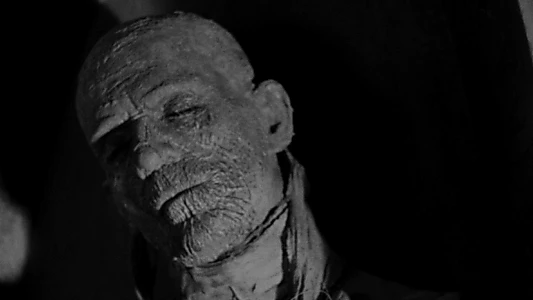 The Mummy