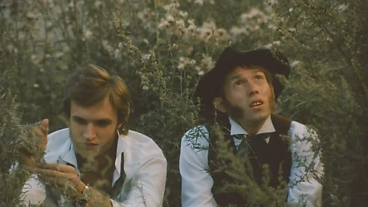 Sideburns