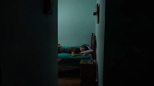 About Moonlight