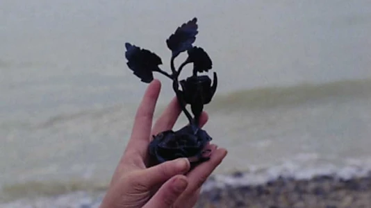 The Iron Rose