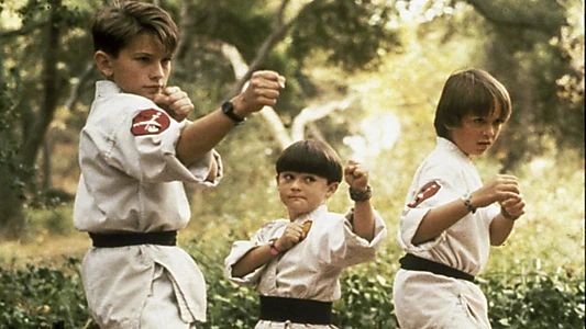 3 Ninjas