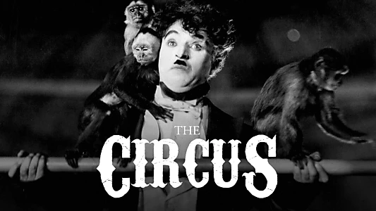 The Circus