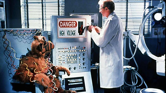 Project: ALF