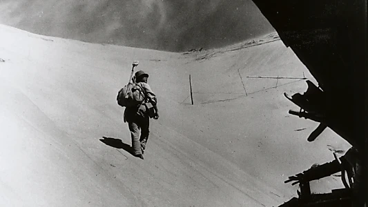 Woman in the Dunes