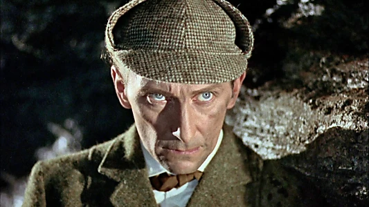 The Hound of the Baskervilles