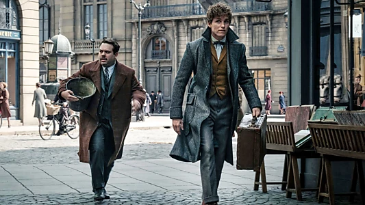 Fantastic Beasts and Where to Find Them