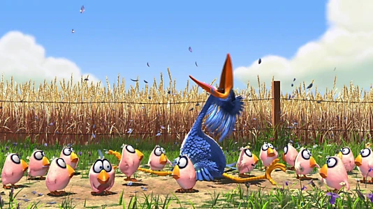 For the Birds