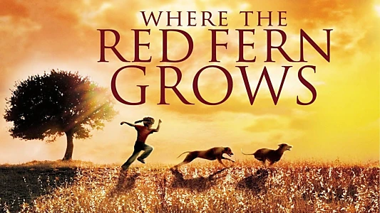 Where the Red Fern Grows