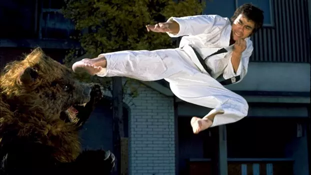 Watch Karate Bear Fighter Trailer