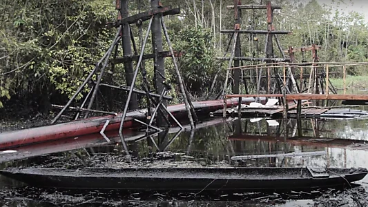 Watch La cara oculta de un derrame Trailer