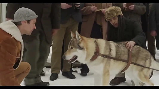 Watch Jack London’s Son of the Wolf Trailer