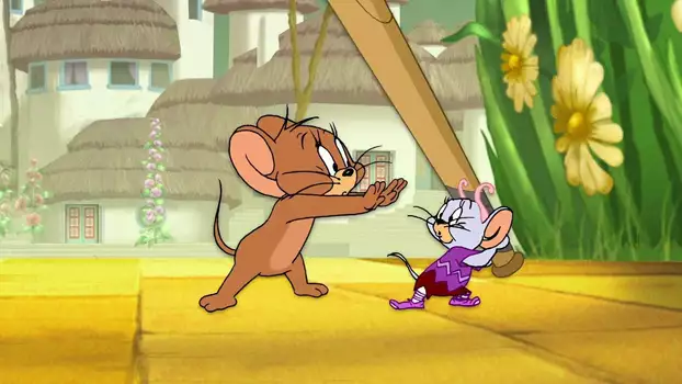 Tom and Jerry: The Classic Collection Volume 6