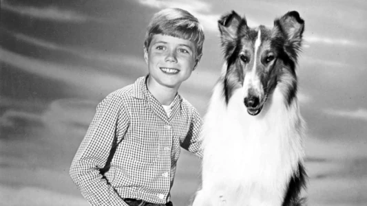 Watch Lassie Trailer