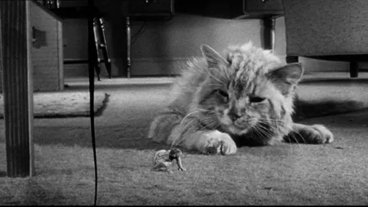 Watch The Incredible Shrinking Man Trailer
