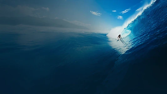 Surf, le feu sacré