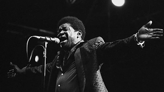 Charles Bradley : Musiques en Stock 2016