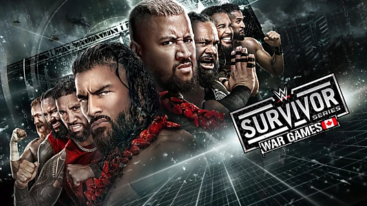 WWE Survivor Series: WarGames 2024