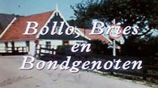 Bollo, Bries en Bondgenoten