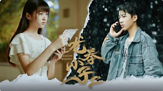 龙拳小子2