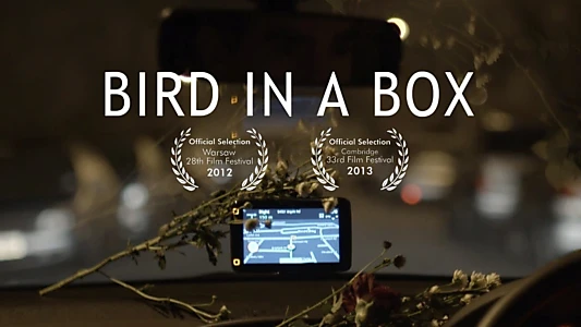 Watch Bird in a Box Trailer