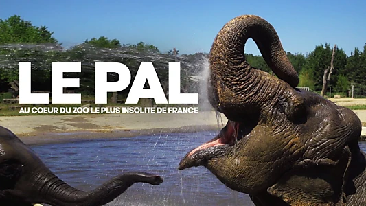 Le Pal : au coeur du zoo le plus insolite de France