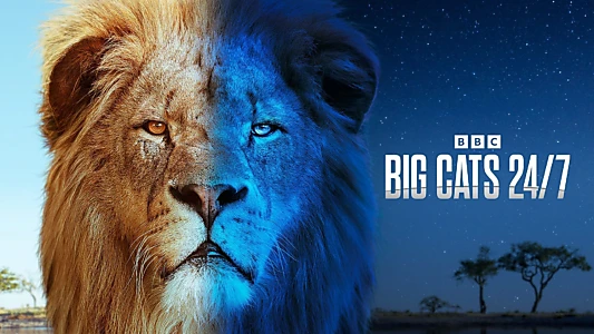 Watch Big Cats 24/7 Trailer