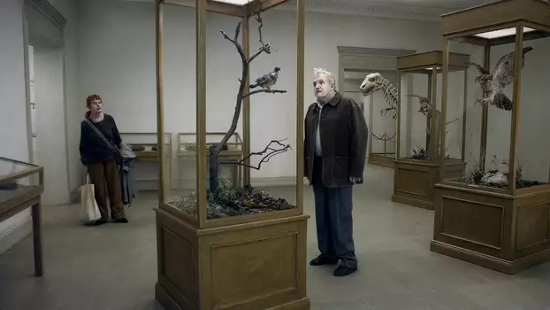 Watch A Pigeon Sat on a Branch Reflecting on Existence Trailer