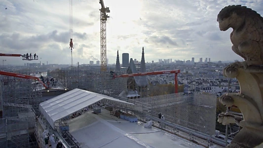 Notre-Dame of Paris, Rising from the Ashes