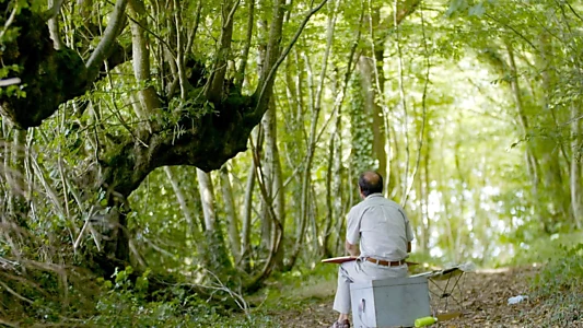 Trognes, les arbres aux mille visages