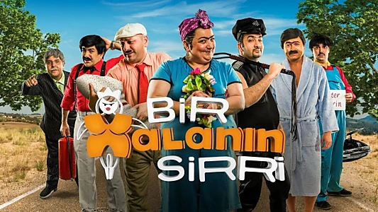 Bir Xalanin Sirri