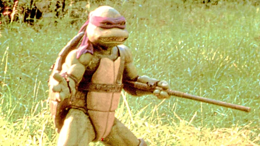 Teenage Mutant Ninja Turtles