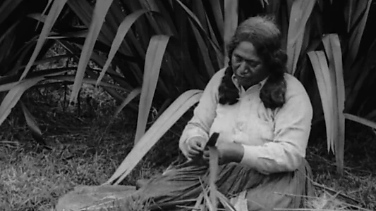 Scenes of Maori Life on the Whanganui River