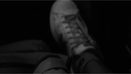 Taxi Diary