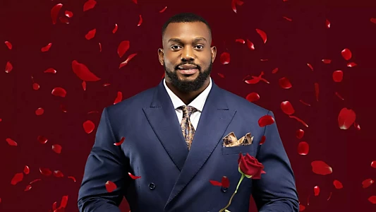 The Bachelor - Afrique