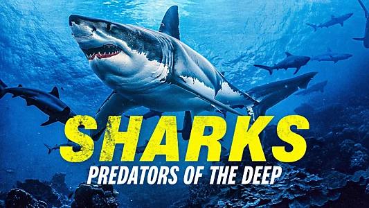 Sharks: Predators of the Deep