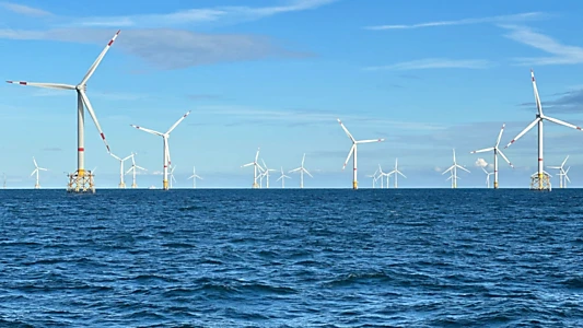 Windparks im Meer - Chance oder Risiko für die Natur?