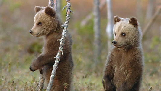 Grandir en pleine nature