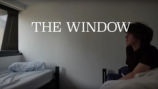 Watch The Window Trailer