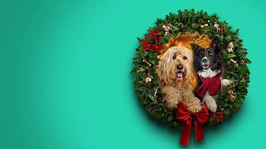 Watch Happy Howlidays Trailer