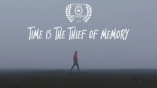 Time is the Thief of Memory