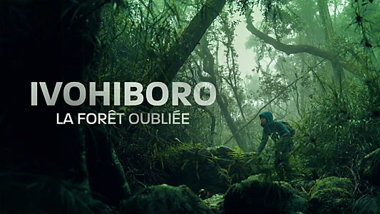 Ivohiboro, la forêt oubliée