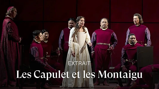 Les Capulet et les Montaigu - Opéra National de Paris