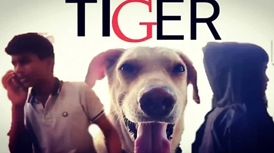 Watch TIGER Trailer