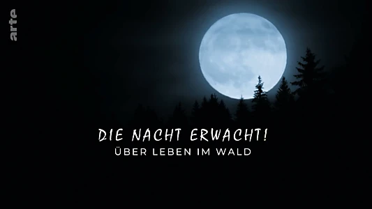 Watch Die Nacht erwacht! Über Leben im Wald Trailer