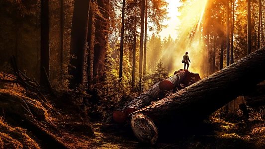 Watch The Last Woodsmen Trailer