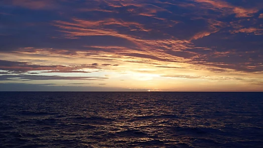 North Sea – Nature Untamed