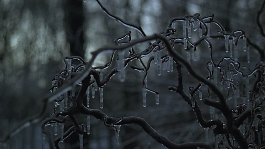 The Ice Storm