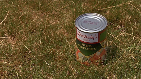 Wet Hot American Summer