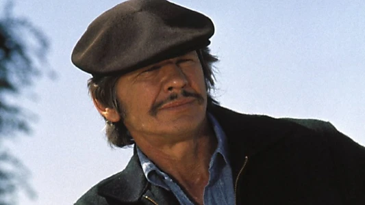 Mr. Majestyk